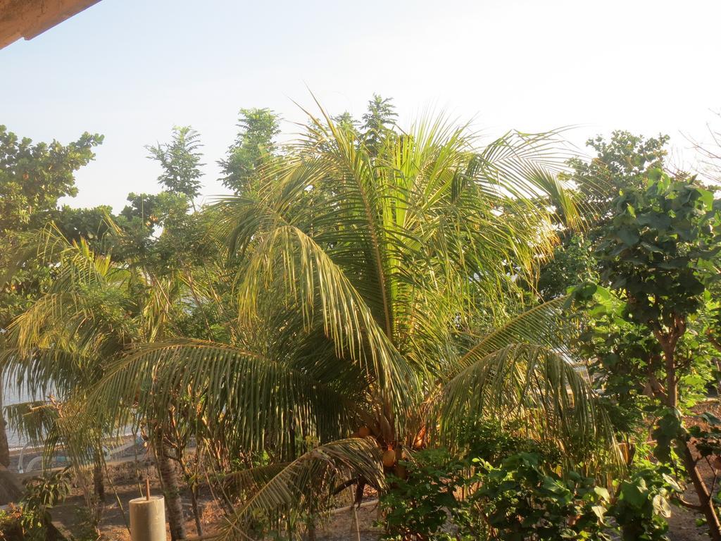 Amed Sari Beach Guesthouse Eksteriør bilde
