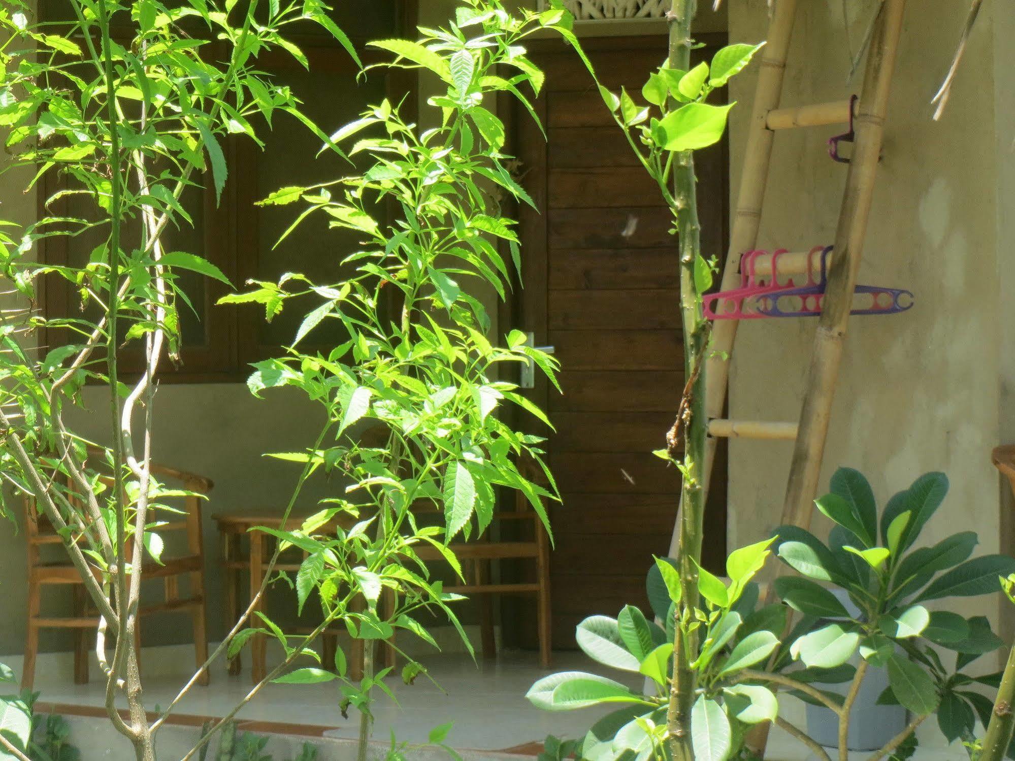 Amed Sari Beach Guesthouse Eksteriør bilde