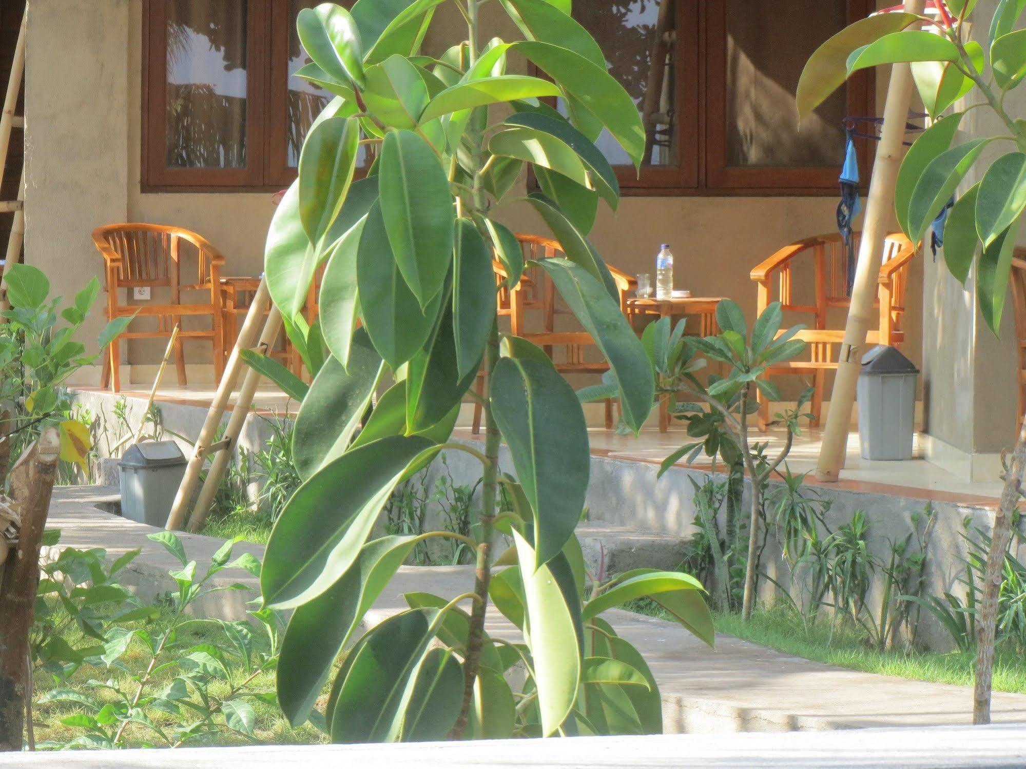 Amed Sari Beach Guesthouse Eksteriør bilde