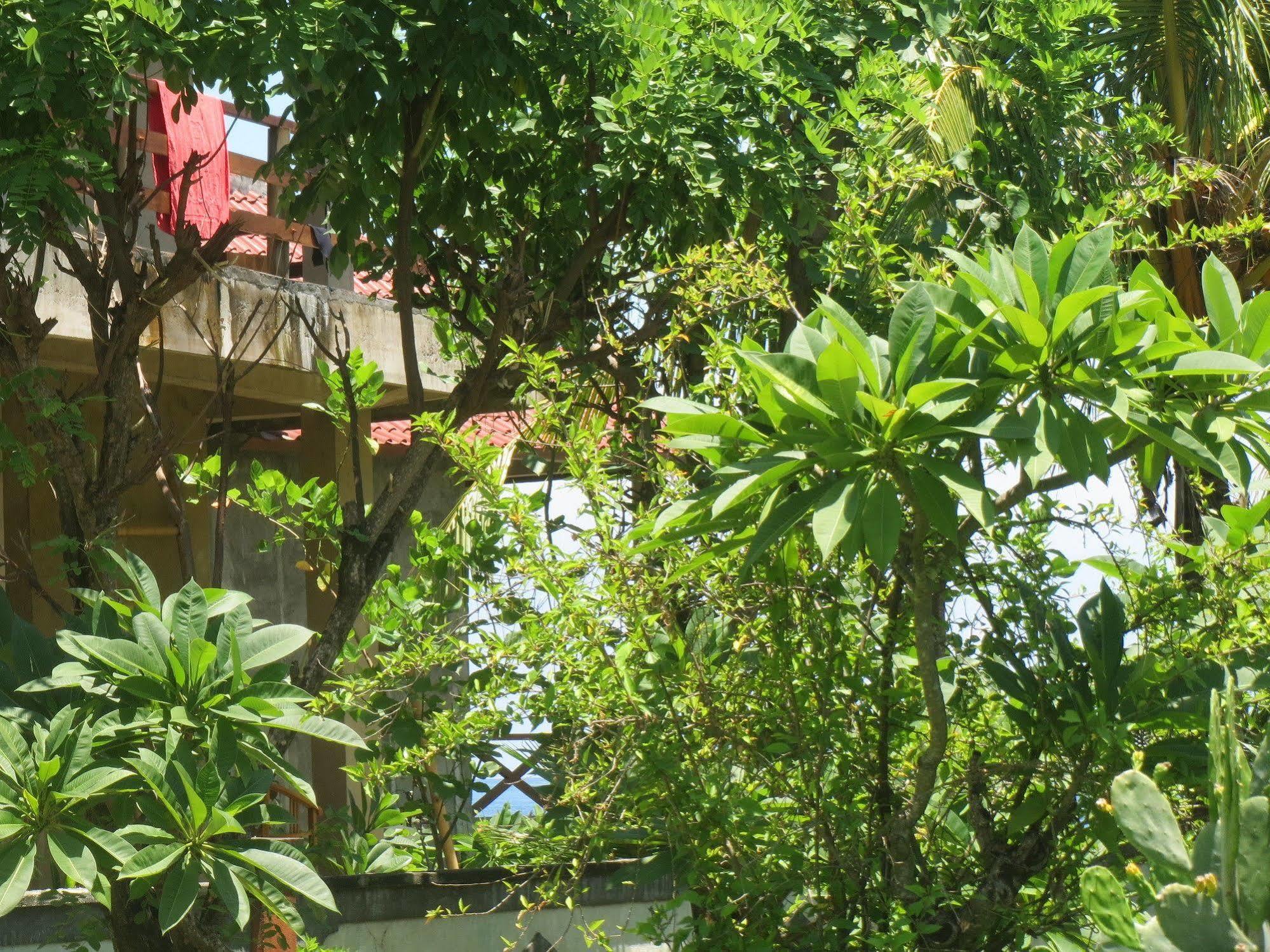 Amed Sari Beach Guesthouse Eksteriør bilde