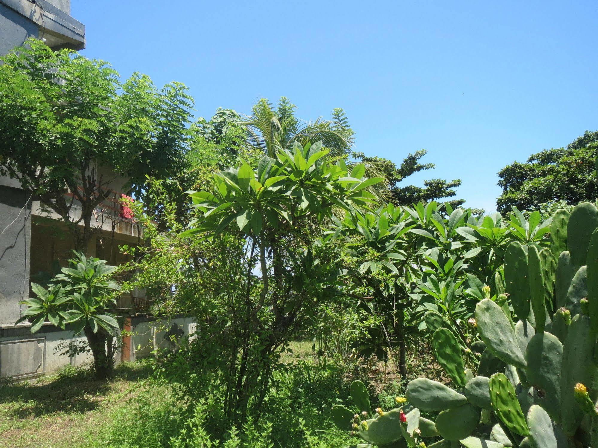 Amed Sari Beach Guesthouse Eksteriør bilde
